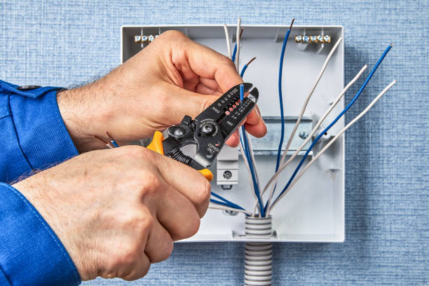 Best Electrical Panel Upgrades  in Cologne, NJ